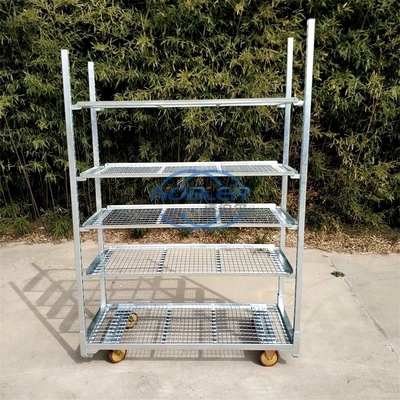 Broeikas Metalen Nederlands Deense Bloemenkarretje voor Display Transport