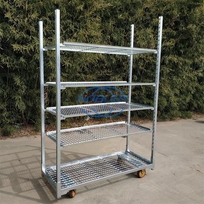 Van de de plaat speciaal zaailing van het serre standaardgat van de het karretjedrang van het de knopkarretje de bloemkarretje