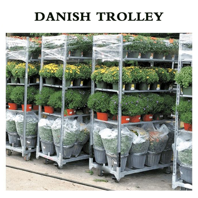 Het tuinbouwvervoer Gegalvaniseerde Deense Karretje van CC van de Bloem Nederlandse Installatie