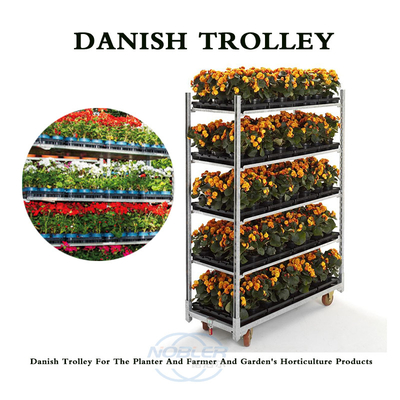 Deense Trolley 2 directionele rubberen wielen Push en Pull Type bloementrolley opvouwbaar