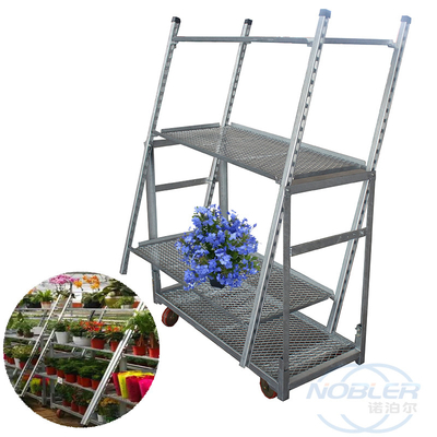 Galvaniseerde de netto hete onderdompeling van de Nederlandse karretjetrekkracht materieel standaard speciaal de bloemkarretje van de gatenplaat