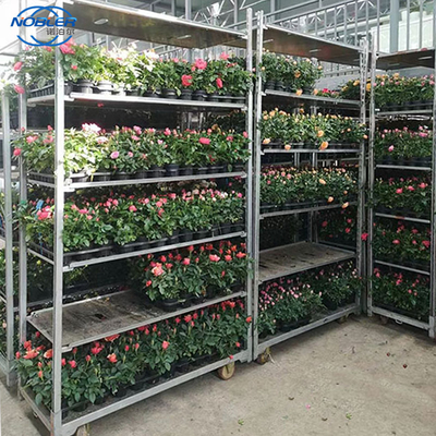 Plywood Flower Trolley Nylon Wheel 2 Directional Wheel 2 Universal Wheel Trolley
