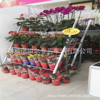 Display Type Tegenlaag Deense bloemen trolley Roestpreventie Assemblage handig