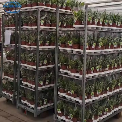 Groenhuis met een hoge draagkracht