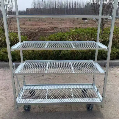 Thermisch verzinkte PP zwenkwiel 1350*565mm Landbouw planten bloemenkar Deense karren voor kas oogstkar