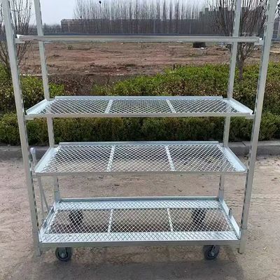 PP Wheel Dutch Flower Trolley Roestvast Biedt 25cm plankhoogte Geschikt voor professionele bloementransportbehoeften