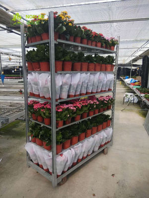 Binnenbloemen display Deense bloemenkar Natuurlijke houten afwerking Draagvermogen 40KG plank Ideaal voor commerciële en retail ruimtes