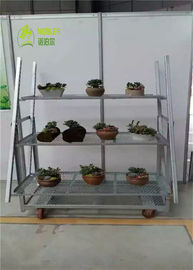 Display Type Tegenlaag Deense bloemen trolley Roestpreventie Assemblage handig
