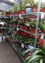 3 Tier Deense supermarkt plank met 1.8x1800mm post en 4 draaibare rollen