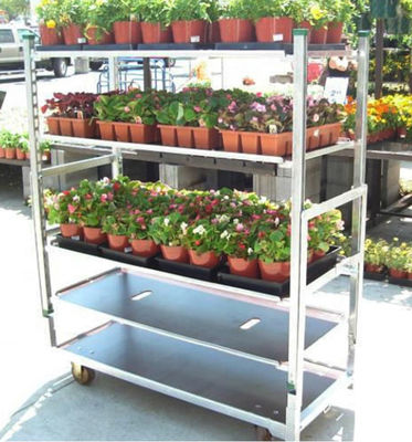 Versatile, heldere plastic opslagcontainers zonder BPA