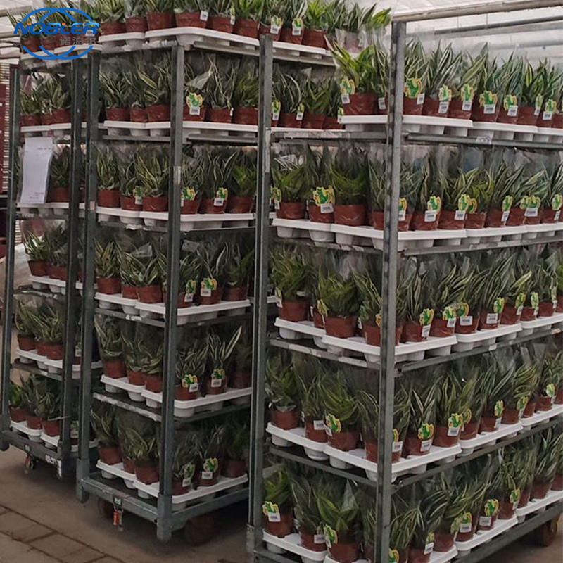 De Deense van het de Handkarretje van de Karretjebloem van de de Plankensupermarkt Plastic Exclusieve Gebruik Aangepaste Karretjes