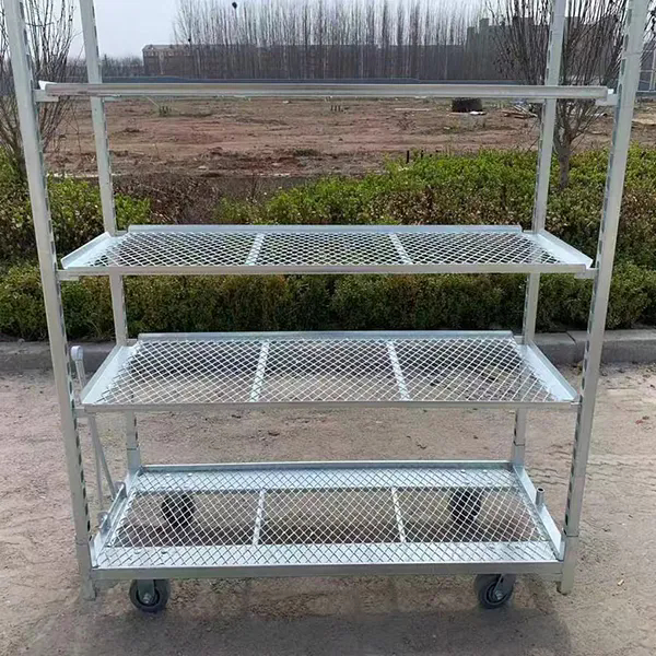 Thermisch verzinkte PP zwenkwiel 1350*565mm Landbouw planten bloemenkar Deense karren voor kas oogstkar