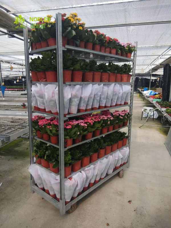 Binnenbloemen display Deense bloemenkar Natuurlijke houten afwerking Draagvermogen 40KG plank Ideaal voor commerciële en retail ruimtes