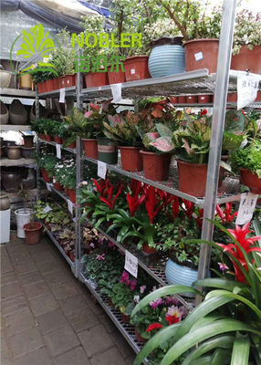 De Nederlandse Karren van de Karretjeserre