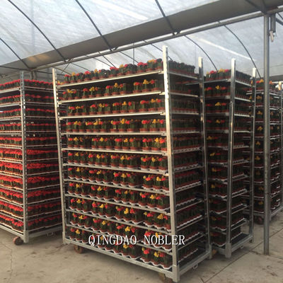 Het veelvoudige Karretje van de Planken Deense Bloem