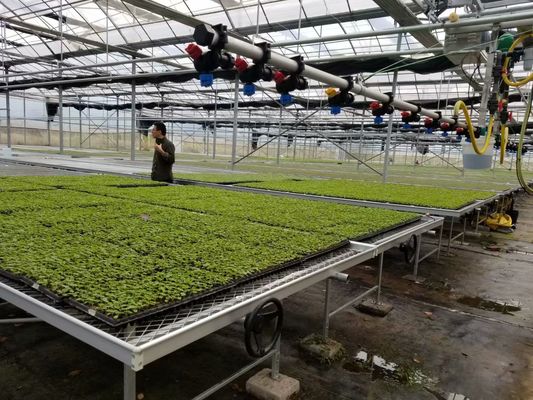 Rolling Draadserre het Groeien Bedden
